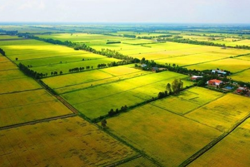 Đất Nông Nghiệp Được Sở Hữu Bao Nhiêu Năm?