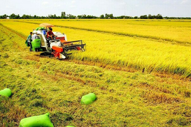 Đất Nông Nghiệp Hết Hạn Sử Dụng Có Bị Thu Hồi Không?