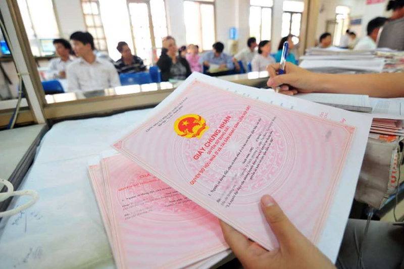 Đất Trồng Cây Lâu Năm Có Được Cấp Sổ Đỏ Không?