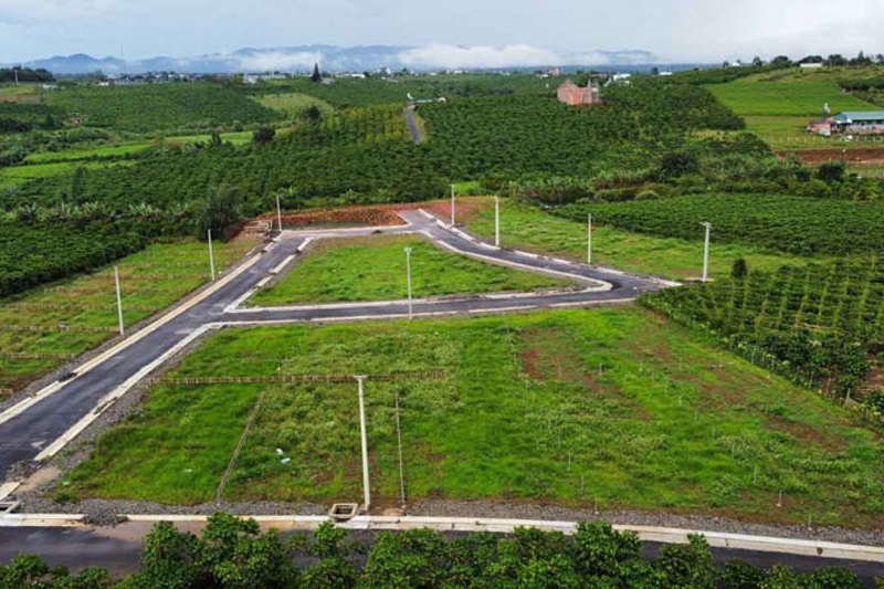 Đất Trồng Cây Lâu Năm Có Thời Hạn Không?