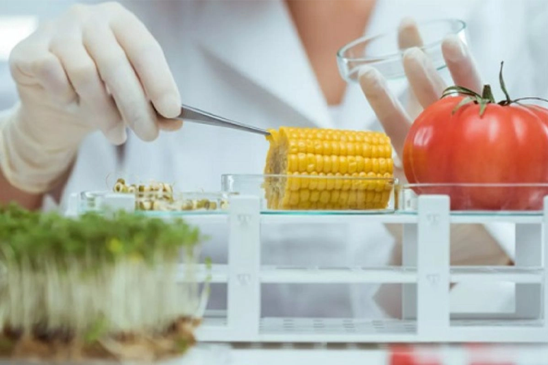 An Toàn Thực Phẩm Làm Ở Đâu?