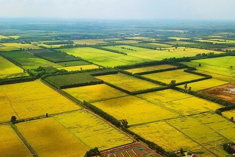 Chi Phí Bồi Thường Đất Nông Nghiệp