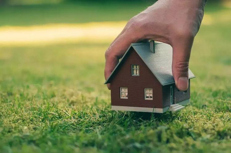 Có Được Xây Nhà Trên Đất Trồng Cây Hàng Năm Không?