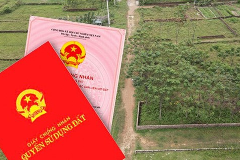 Thế Nào Là Cấp Giấy Chứng Nhận Quyền Sử Dụng Đất Lần Đầu?