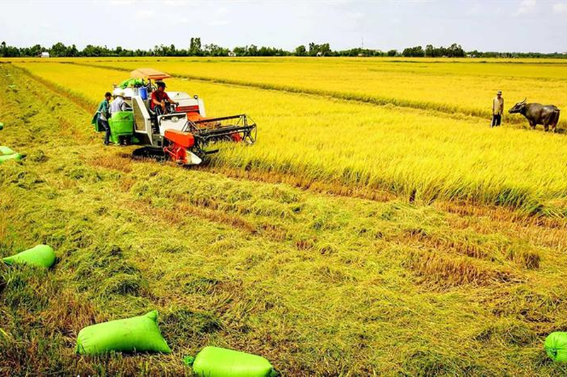 Thu Hồi Đất Nông Nghiệp Đền Bù Như Thế Nào?