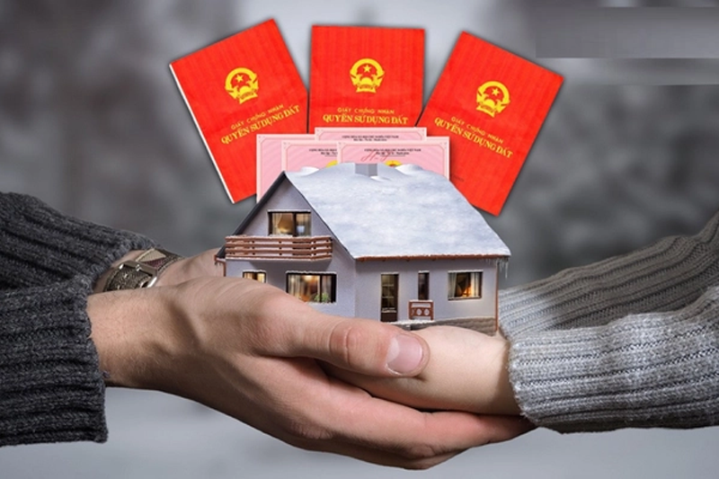 Bố Mẹ Cho Con Đất Có Đòi Lại Được Không?