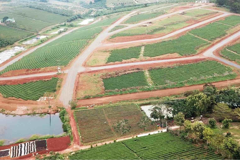 Lên Đất Thổ Cư Để Làm Gì?